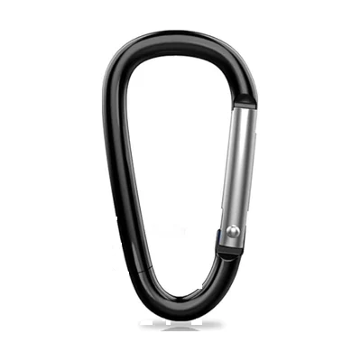 silver carabiner clip